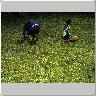 Dscn0190